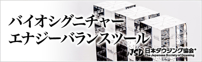 バイオジオメトリー　エナジーバランスツール